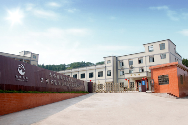 深圳市隆輝電機有限公司